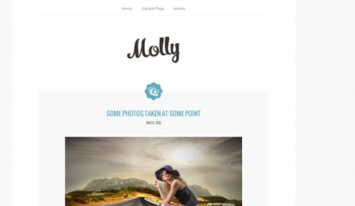 Molly v1.1 Cssigniter Wordpress主題