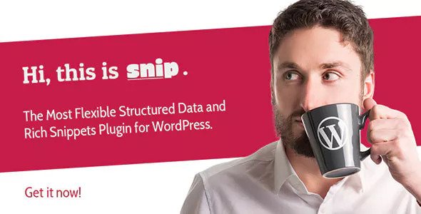 SNIP v2.10.0 - WordPress結構化數據插件